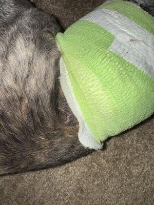 Mounds View Animal Hospital