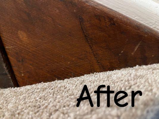 Dust Bunnies Cleaning