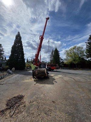 Alpenglow Tree Service