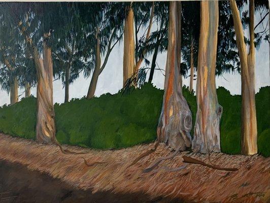 Eucalyptus ,Spring Ranch
Oils on plaster board
18"x24"