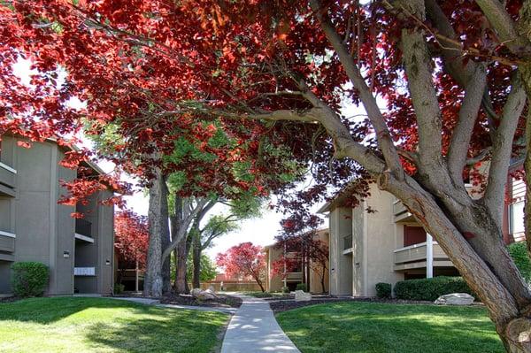 Brighton Place Walk Way