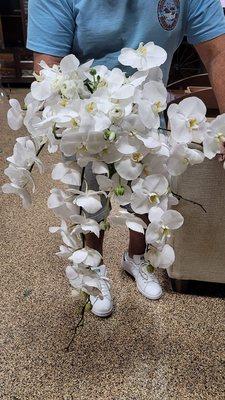 Flowers of Queen Creek