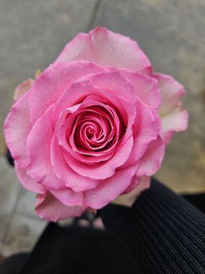 Sunset Hills Memorial Park & Funeral Home