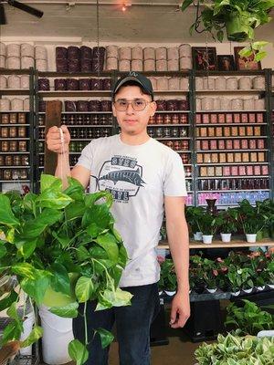 Vinnys Plants and Flowers