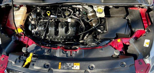 Bay Areas Finest Detailing