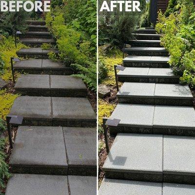 Issaquah Home Services