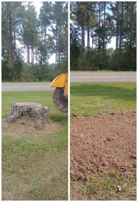 Precision Stump Grinding