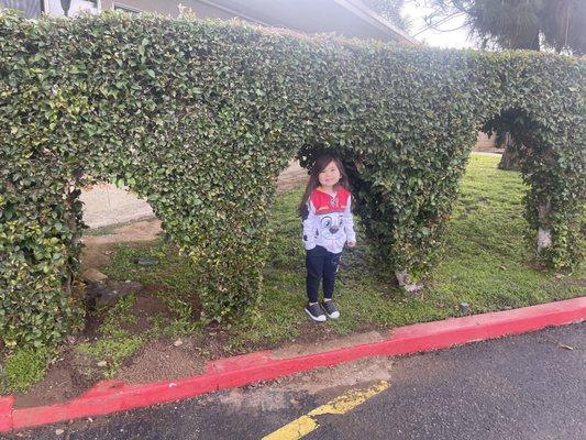 Life Care Center of Menifee