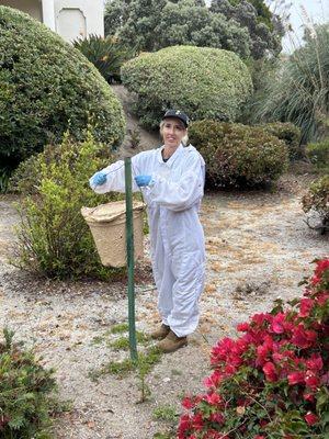 Replacing swarm traps in Carlsbad.