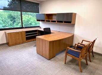 OFFICE SUITES