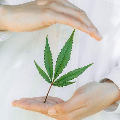 White Lotus Massage Therapy