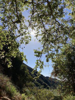 Bencivenga Fitness & Wellness