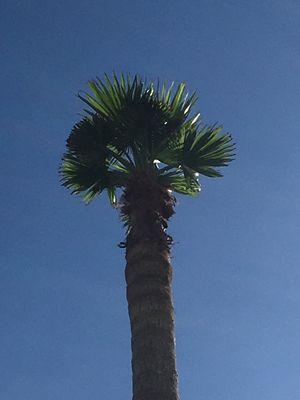 SKVC All In One Services