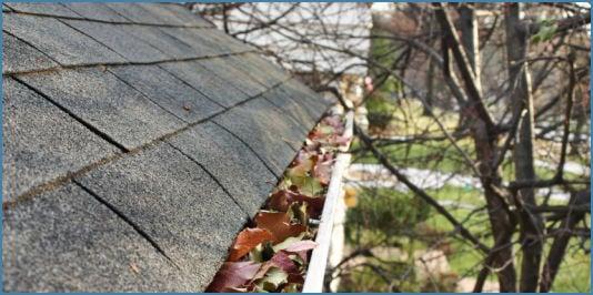 Serenity Property Maintenance Services