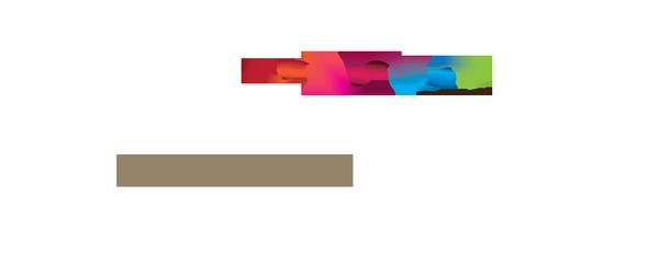 Micrografx Limited
