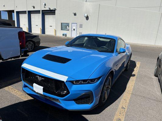 GT mustang 24' Grabber Blue