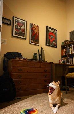 Fox River Digital Marketing