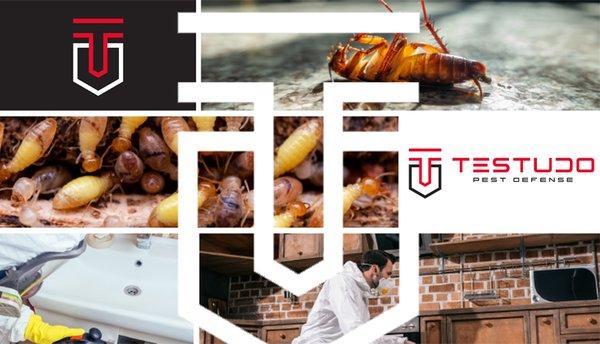 Testudo Pest Control