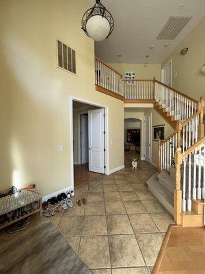 Sparkle & Shine Professional Cleaning