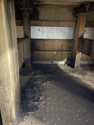 Look at the floor. Is that black mold? They obviously mop the floors every day. Yeah right.