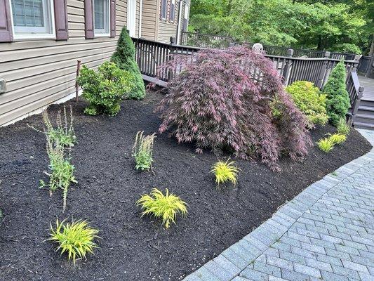 Parker Landscape Design