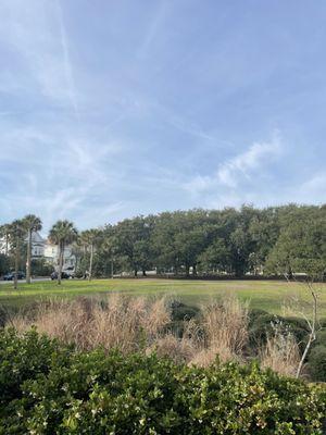 Cannon Park