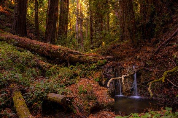 California State Parks Backpacking Adventures