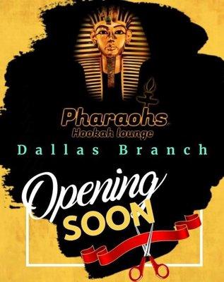 Pharaohs Hookah Lounge - Dallas