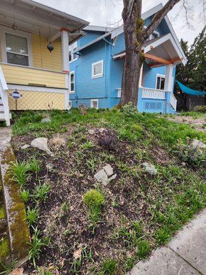 Autumn Leaf Landscaping