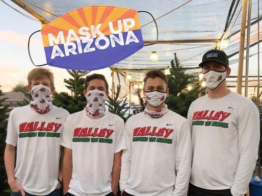 Valley Christmas Tree Removal