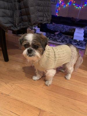 Becker Animal Hospital