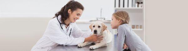 easyvet Veterinarian Alpharetta