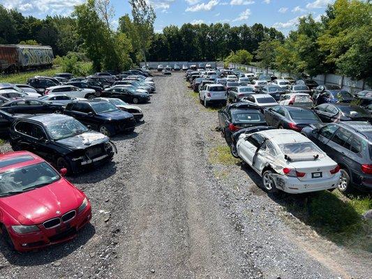 Over 150 New Model Import Vehicles