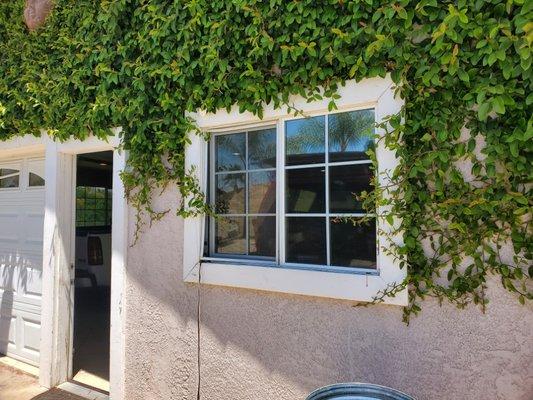 217 Mobile Tint Services