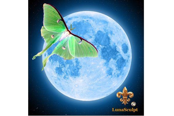 Luna Sculpt
