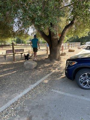 The off leash dog area