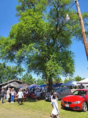 Songkran-Thai New Year Festival-VA