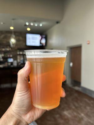 Lagunitas IPA Beer (6.2% ABV)