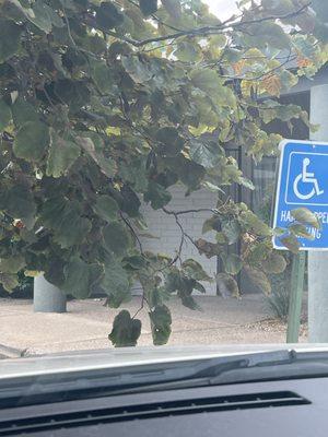 Poorly advertised placement of this piece of shit studio.