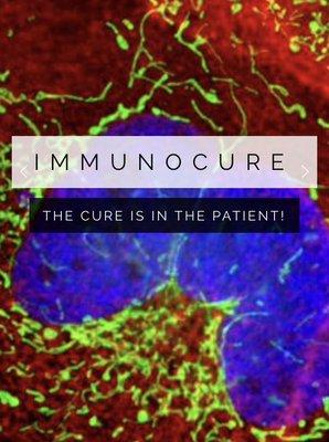 ImmunoCure Foundation