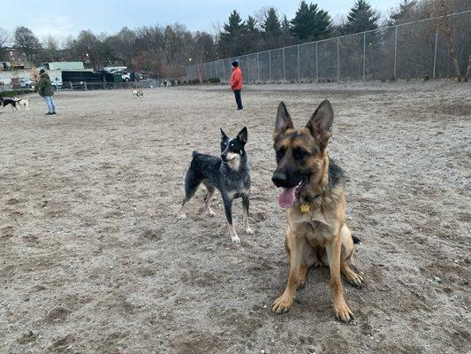 Lyndale Farmstead Off Leash Dog Park