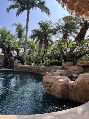 Epic Pest management