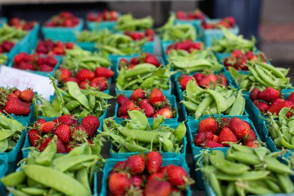 Forest Grove Farmers Market
