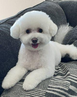 McCarthy Chiropractic Inc