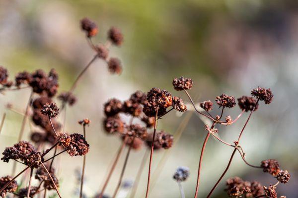 Pinnacles National Park