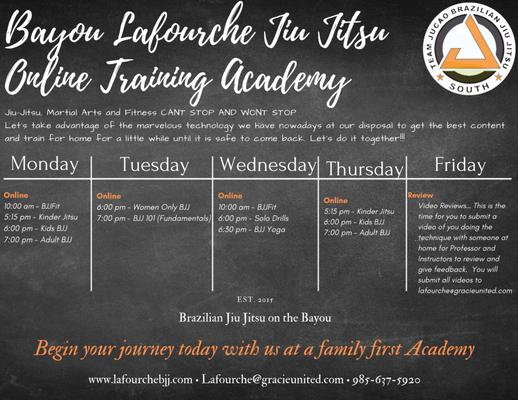 Our Virtual Academy Schedule during the Covid-19 Lockdown