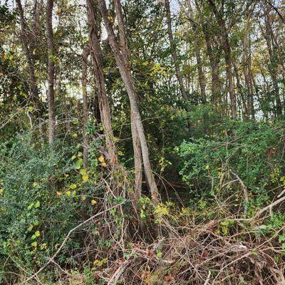 Spain's Land Development