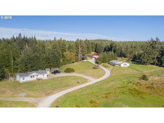 Our wooded paradise is a joy for our pet friends to explore