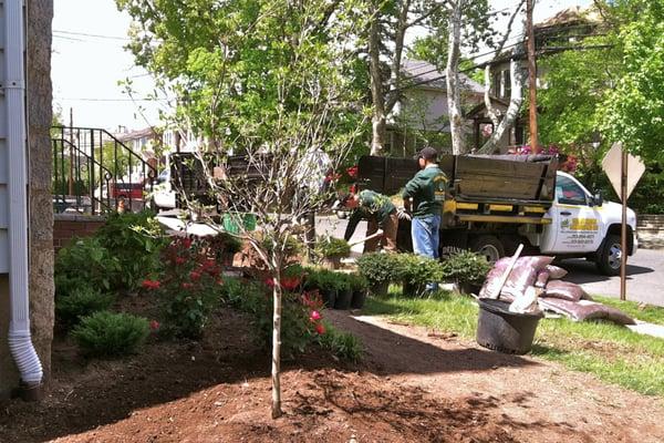 Planting Installation, Palisades Park, NJ