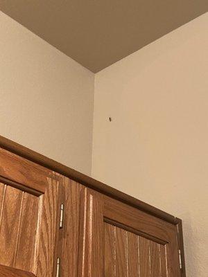 The Bungalows At Hueco Estates